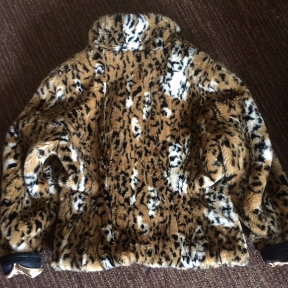 Peacoat - Picture 4 of 4